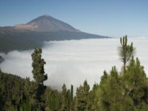 Parque Nacional del Teide, en la isla canaria de Tenerife. / María González / CSIC Comunicación