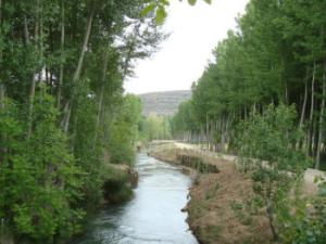 Riberas recuperadas del río Piedra/ (CSIC)