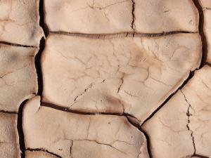 El cambio climático amenaza al Mediterráneo con sequías y disminución de la biodiversidad