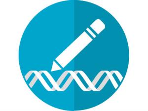 CRISPR podría usarse para hacer daño. / mcmurryjulie  (PIXABAY)