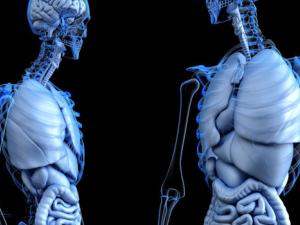 Una técnica que permite el diagnóstico precoz del cáncer de pulmón