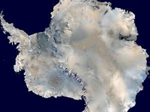 Fósiles que ayudan a entender el papel del océano en la última glaciación