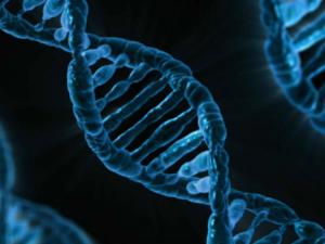 Ilustración artística de secuencia de ADN. / PublicDomainPictures (PIXABAY)