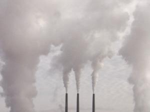 HeMHAS se centra en la "verificación del efecto repulsivo de la contaminación en un escenario con diferentes niveles de contaminación en simultáneo, en el que los organismos pueden migrar para los menos contaminados". / Pixource (PIXABAY)