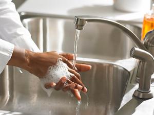 Expertos europeos ultiman técnicas para controlar infecciones alimentarias