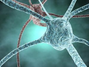 Ilustración de neuronas. / juliendn (FLICKR)