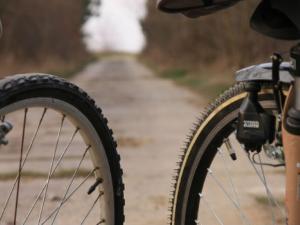 El Día de las Vías Verdes cumple 20 años como motor de desarrollo del turismo verde. / nsx2001 (PIXABAY)