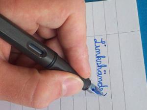 La comunidad científica ha efectuado muchos estudios sobre lateralidad manual y cerebral de homininos, pero es la primera vez que reúne una muestra tan grande. / Judith Bremer (WIKIMEDIA)