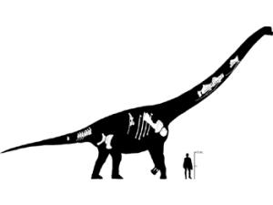 Representación artística del Europatitan eastwoodi. / Fundación para el estudio de los Dinosaurios en Castilla y León