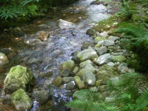 Uno de los puntos de referencia donde se ha efectuado el análisis de la bioacumulación de metales del río Nalón. / Pilar Rodríguez-UPV/EHU