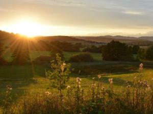 Alimentos abundantes, agua limpia y el aire saludable se encuentran entre los beneficios más valiosos y visibles que la naturaleza brinda a la gente. / M-S-Night (PIXABAY)