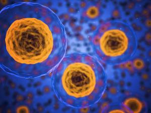 Impedir las comunicaciones del núcleo celular para frenar el cáncer