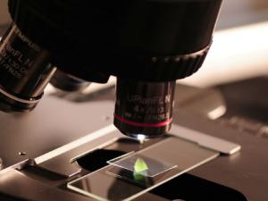 Científicos que emigran a Madrid (a pesar de todo)