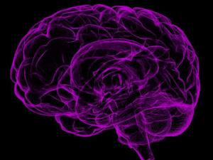 ¿Es innata nuestra capacidad para diferenciar a personas de otro sexo? / Image by sbtlneet on Pixabay