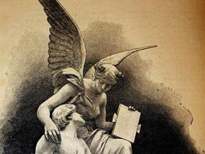 Immortality. / Longep Ed (WIKIMEDIA COMMONS)