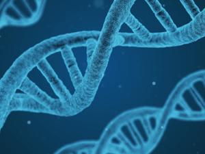 Ilustración de cadena de ADN. / qimono (PIXABAY)