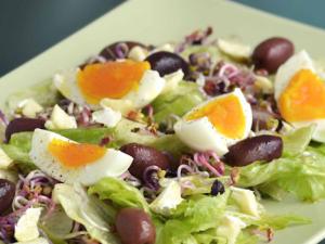 La Complutense inicia un trabajo para identificar la flora intestinal asociada a la dieta mediterránea.