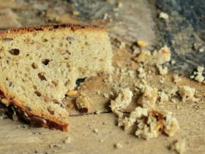 Migas de pan de 14.400 años cuestionan el origen de la agricultura