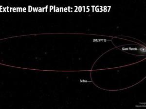 Las órbitas del nuevo planeta enano extremo, 2015 TG387, y sus objetos de la nube interna de Oort, 2012 VP113 y Sedna, en comparación con el resto del Sistema Solar. / Ilustración de Roberto Molar Candanosa y Scott Sheppard, cortesía de Carnegie Institution for Science