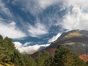 Investigadores españoles han encontrado la huella de la erupción del volcán Tambora (Indonesia en abril de 1815) en pinos del Pirineo, a más 12.000 kilómetros. / jpduretz (PIXABAY)