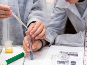 Ya conocemos a los centros educativos que estarán presentes en la Feria 'Madrid por la Ciencia y la Innovación'