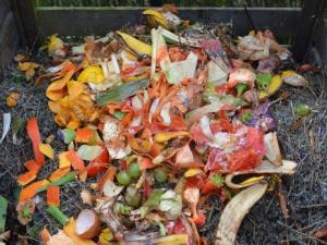 green-waste-ga50cb2ff2_128