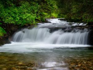 Arroyo. / Leirdal (PIXABAY)