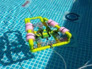 Sumérgete en el mundo de la investigación marina