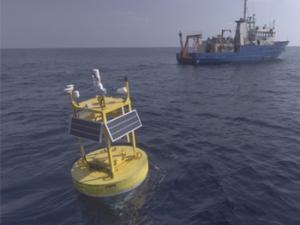 Despliegue del anclaje en aguas poco profundas del «Observatorio del Mediterráneo Oriental (THEMO)» de Texas A&M y la Universidad de Haifa, situado frente a la costa de Israel en la proximidad de Haifa. Este anclaje servirá como punto de experimentación de las tecnologías desarrolladas en el proyecto ThreatDetect. / IMDEA Networks Institute