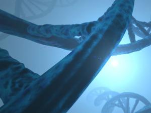 El océano profundo y la flora intestinal revelan el misterio de los genes microbianos