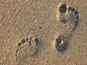 Encuentran en Gibraltar la segunda huella de un neandertal en el mundo