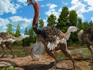 Ilustración de Corythoraptor jacobsi / Zhao Chuang (SCIENTIFIC REPORTS)