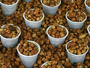 Horchata: Un superalimento para todo el año