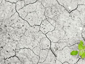 Belén Franch, de 34 años, ha sido galardonada por la agencia estadounidense por sus trabajos contra el cambio climático y el hambre en el mundo.