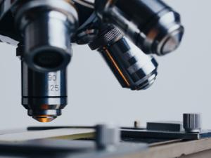 A través de esta iniciativa se pretende conectar aficionados, estudiantes, profesores, investigadores y representantes institucionales para dar a conocer la ciencia ciudadana a través de proyectos inspiradores. / kkolosov (PIXABAY)