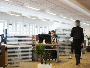 La Fundación madri+d se une a la celebración del Día Internacional de las Microempresas y las Pequeñas y Medianas Empresas. / louisehoffmann83 (PIXABAY)