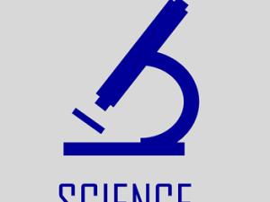 Ilustración. / Tumisu (PIXABAY)