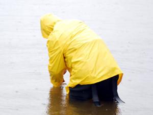 Estudian la presencia de elementos tecnológicamente críticos en el medioambiente