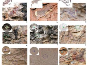 Plano de la planta de los abrigos de la Saltadora en el que se muestra la distribución de las figuras rupestres analizadas y los puntos de control. / UV