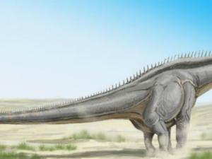 Diplodocus. / WIKIMEDIA