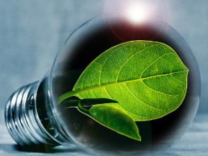 Han logrado desarrollar un prototipo que hace una fotosíntesis que podría mejorar el modelo natural. / PIRO4D (PIXABAY)