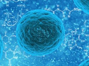 Los macrófagos son las células del sistema inmune responsables de, entre otras funciones, proteger al organismo frente a los invasores, ya sean externos o internos. / PublicDomainPictures (PIXABAY)