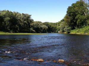 Aunque son habituales las pruebas de la toxicidad de nuevos compuestos químicos, hasta ahora no era bien conocido el efecto de las mezclas de diferentes toxinas. / MargaretBMoss (PIXABAY)