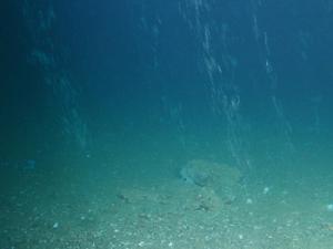 Fuga de gas metano cerca de un pozo. / ROV KIEL6000 (GEOMAR)
