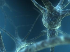 Ilustración de neuronas. / Scott Ingram (FLICKR)