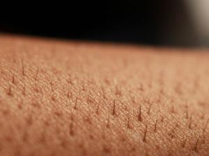 Nueva "piel electrónica" para prótesis de mano que transmite sensaciones táctiles