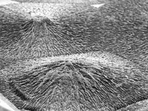 Primer plano del material similar al esmalte. / QMUL