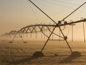 Riego de campo de trigo. / Chris Happel (PIXABAY)