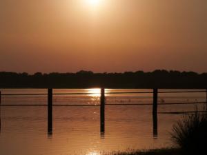 Detectaron siete humedales no impactados (Ardal, Castillo, Orcera, Pedernoso, Perales, Santisteban y Siles), en los que la riqueza de especies del zooplancton es superior. / roquefotoarte (PIXABAY)