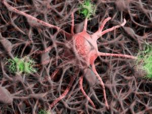 nerve-cells-g3ef8896d0_12